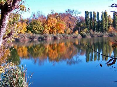 Прикрепленное изображение: 002a.jpg